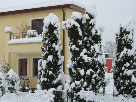 Schnee 020.jpg   36kb   26.03.2021 22:29:26